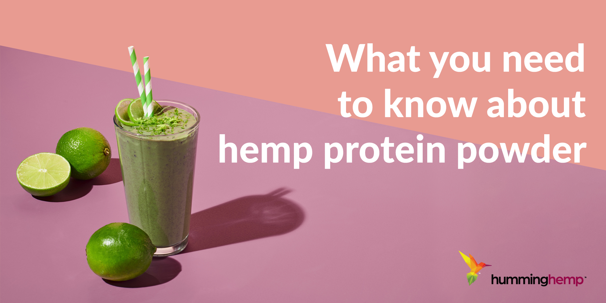 What you need to know about hemp protein powder Facts and Benefits FI